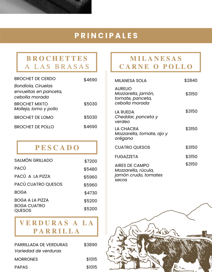 carta aires mayo